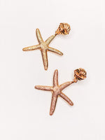 Starfish Earrings